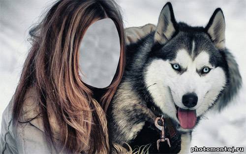 Шаблон для Photoshop - Ласковые хаски