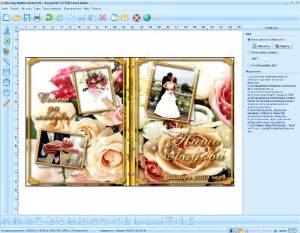RonyaSoft CD DVD Label Maker 3.01.06 Portable Rus этикетки и обложки для CD-DVD