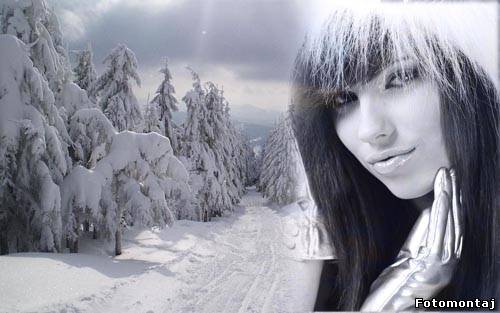 Рамка для фотошопа - зимний лес