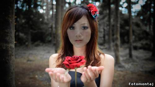 Шаблон для photoshop - С восхитительным цветком