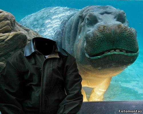 Шаблон для photoshop - Вы большущий гиппопотам